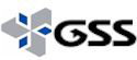 Global Surveillance Systems